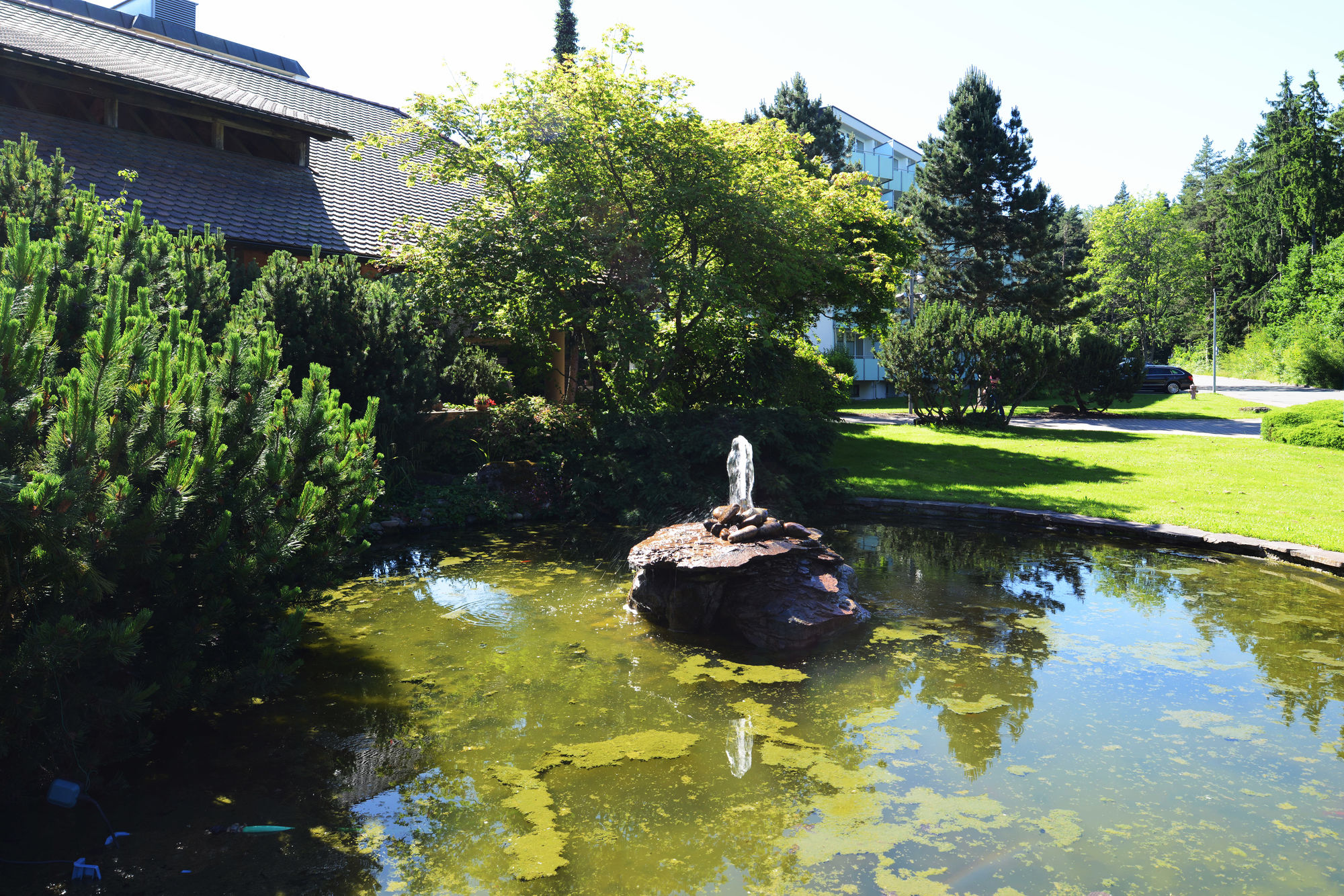 Фото Dekra Congresshotel Wart