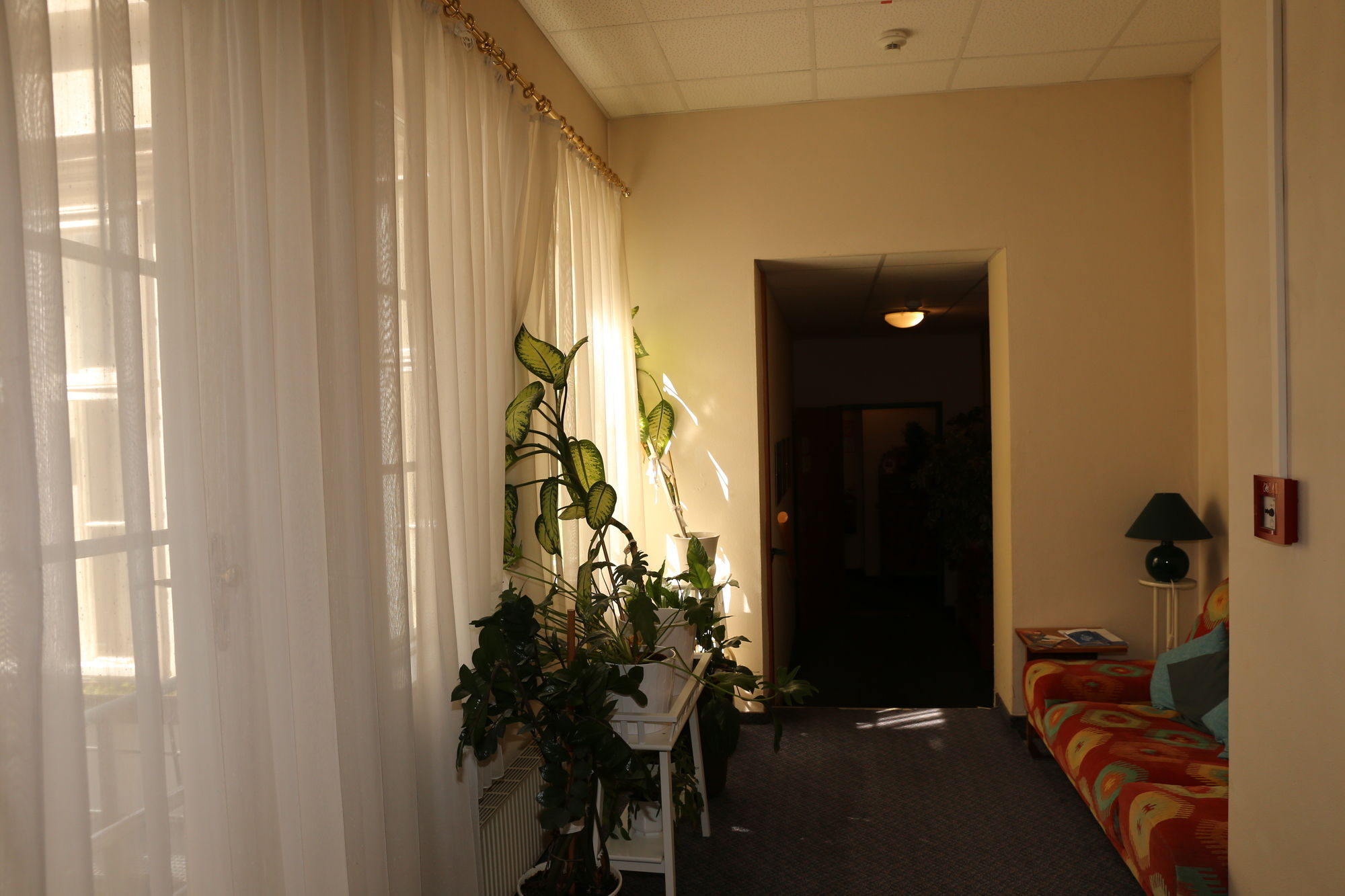 Фото Hotel am Schottenpoint