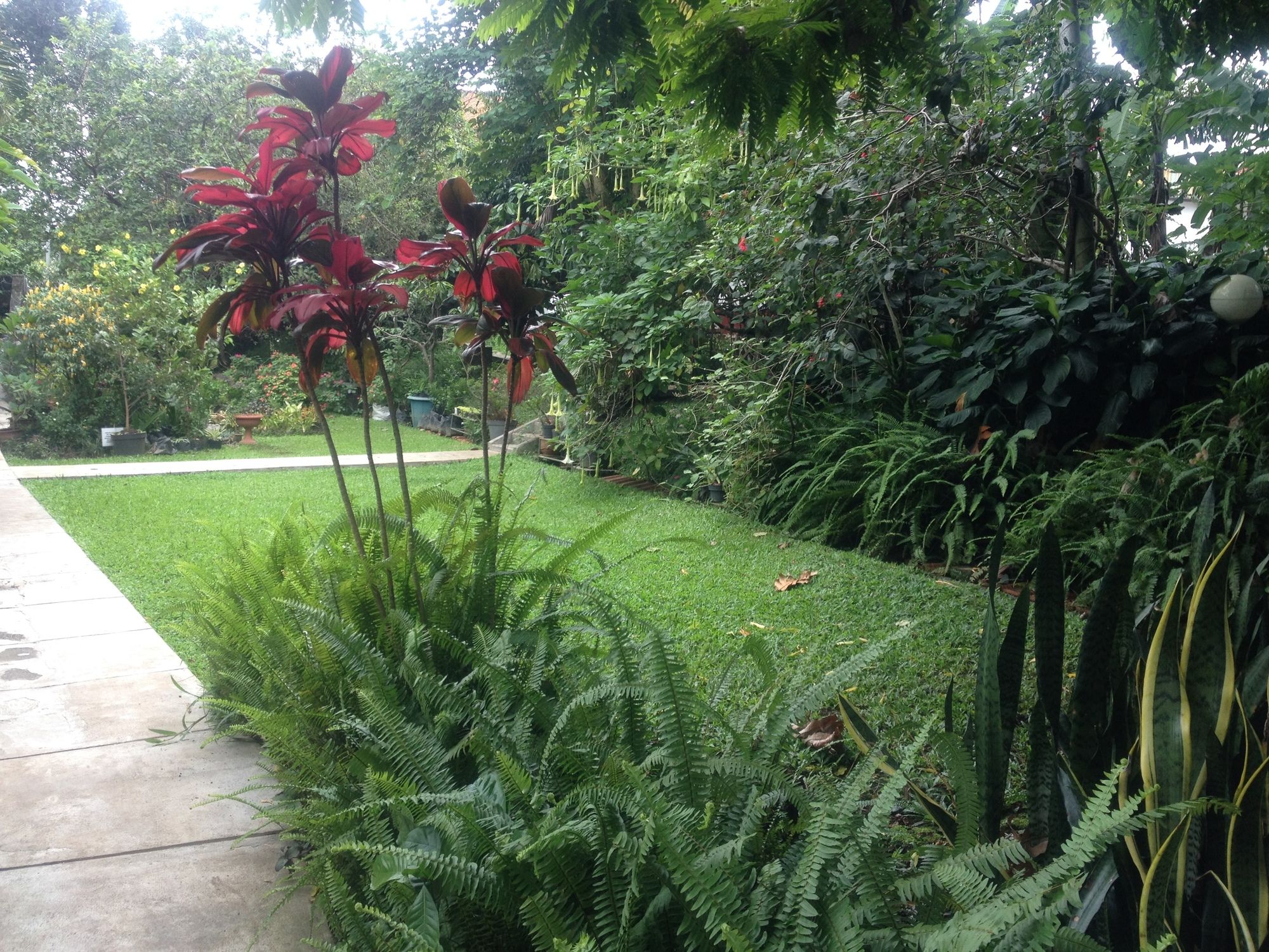 Фото RedDoorz Hostel @ Dago 2