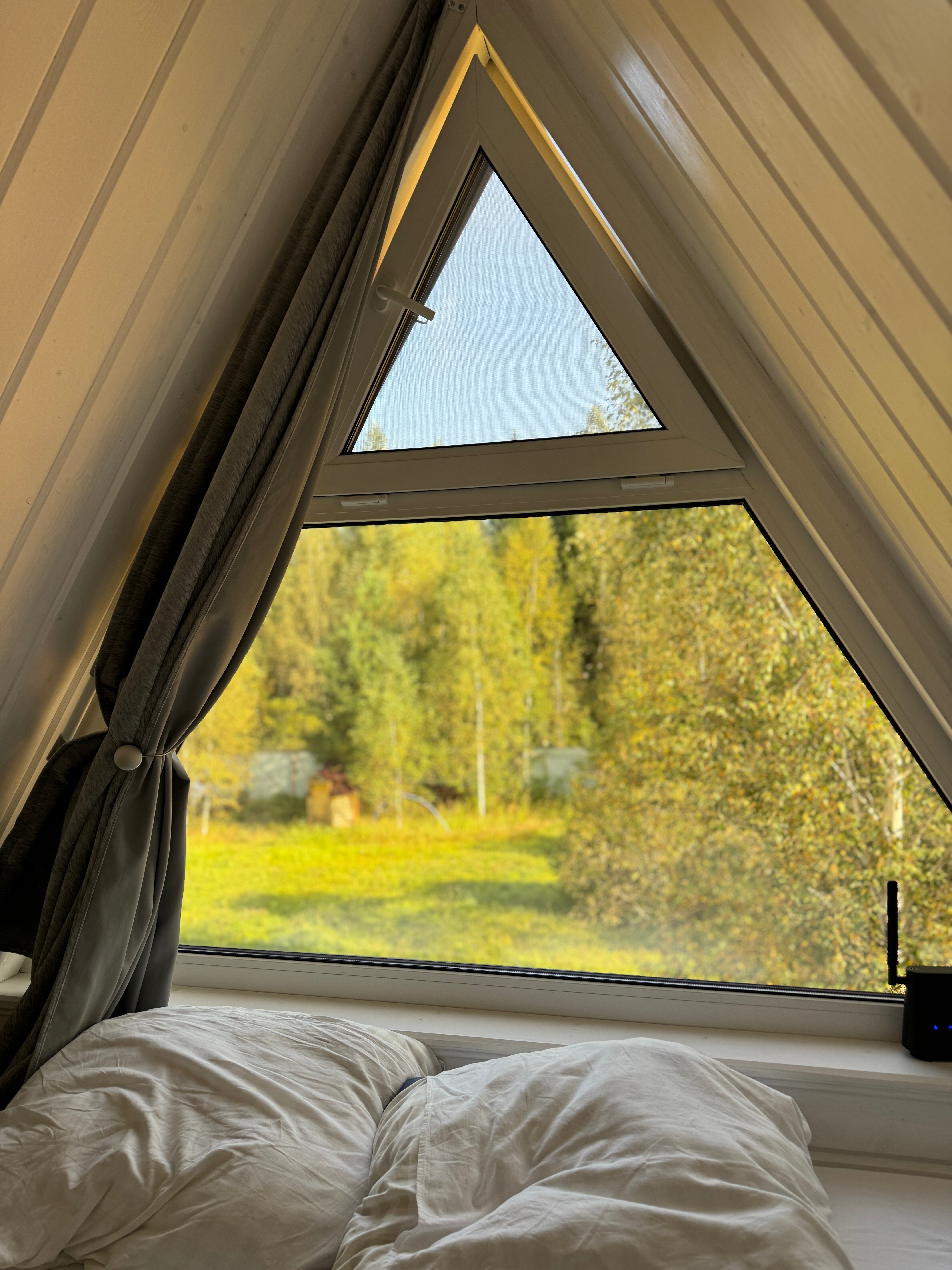 Фото Домики у леса в посуточную аренду