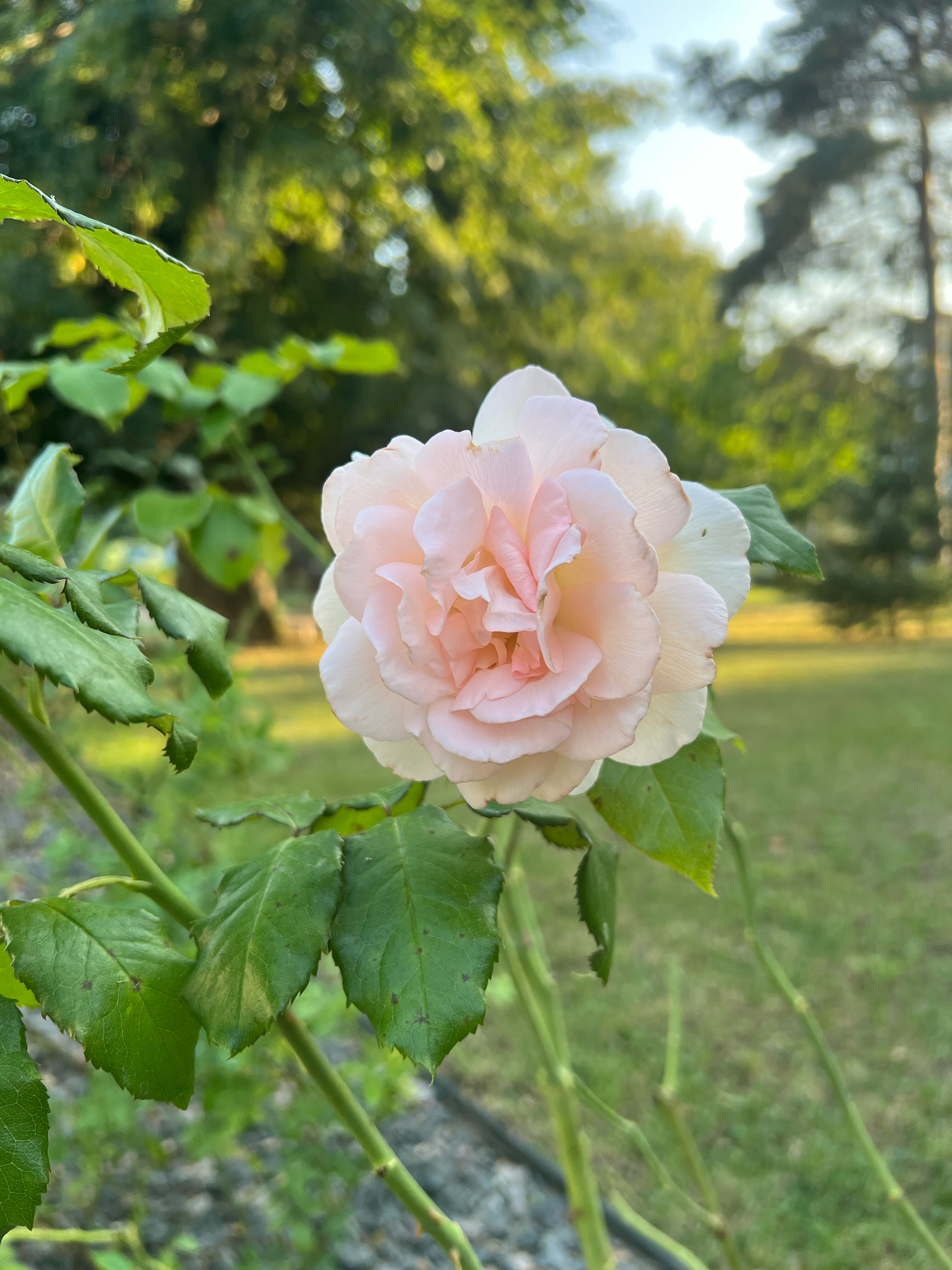 Фото Аквамарин Парк