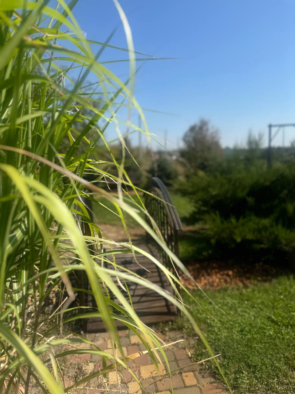 Фото Верста