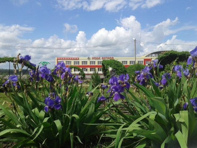 Фото отеля 4