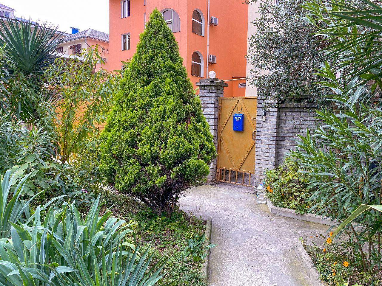 Фото Ника прибрежный уют