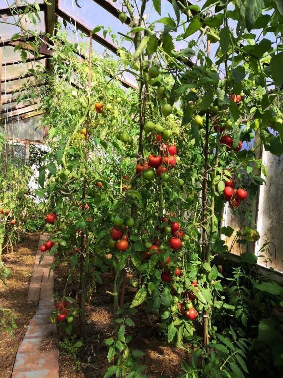 Фото Избушка