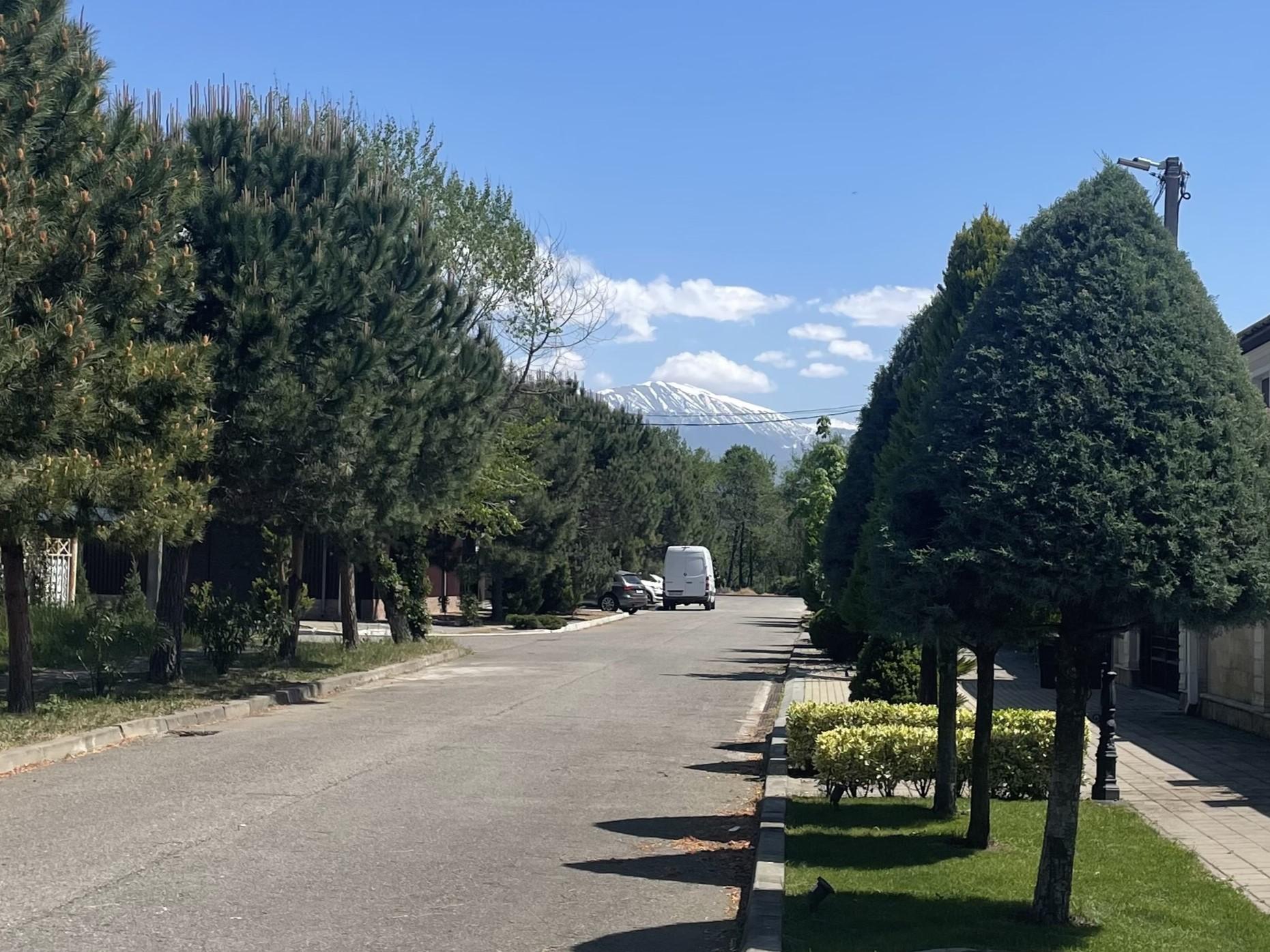 Фото Аристократ