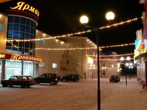 Гостиница Прокопьевская