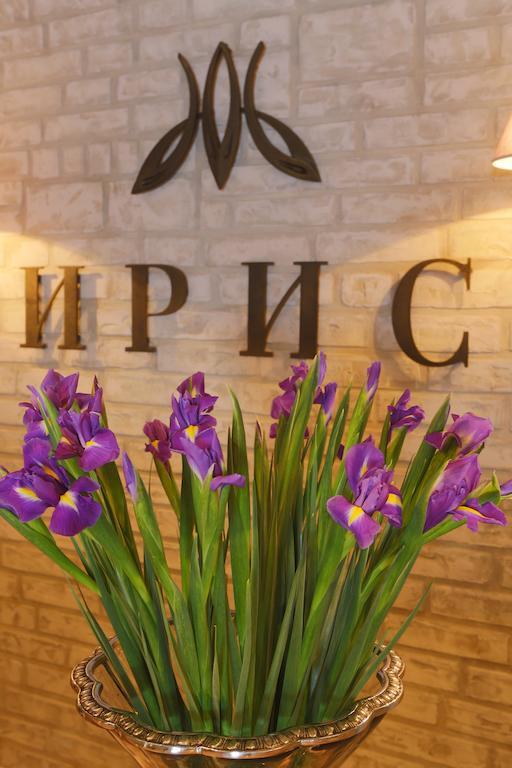 Фото Ирис