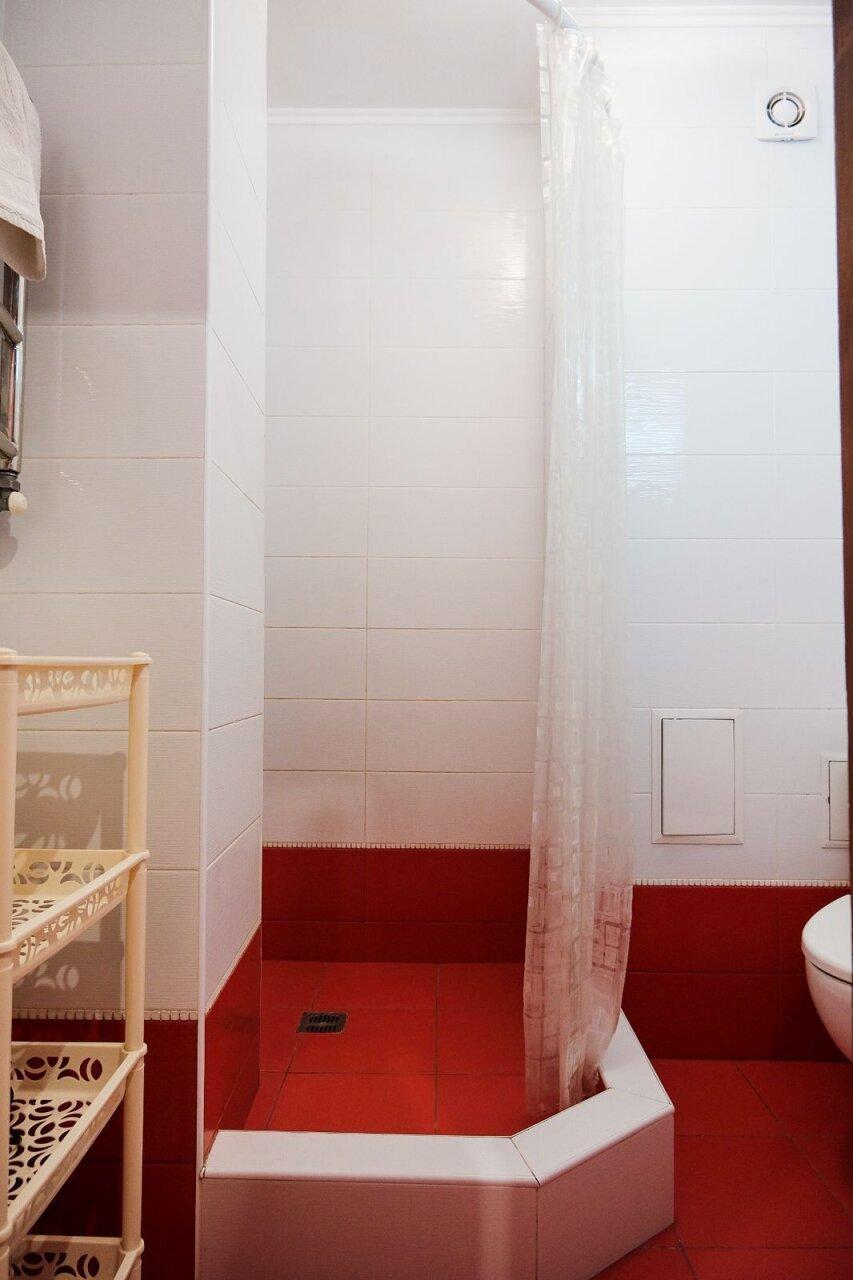 Фото Папайя