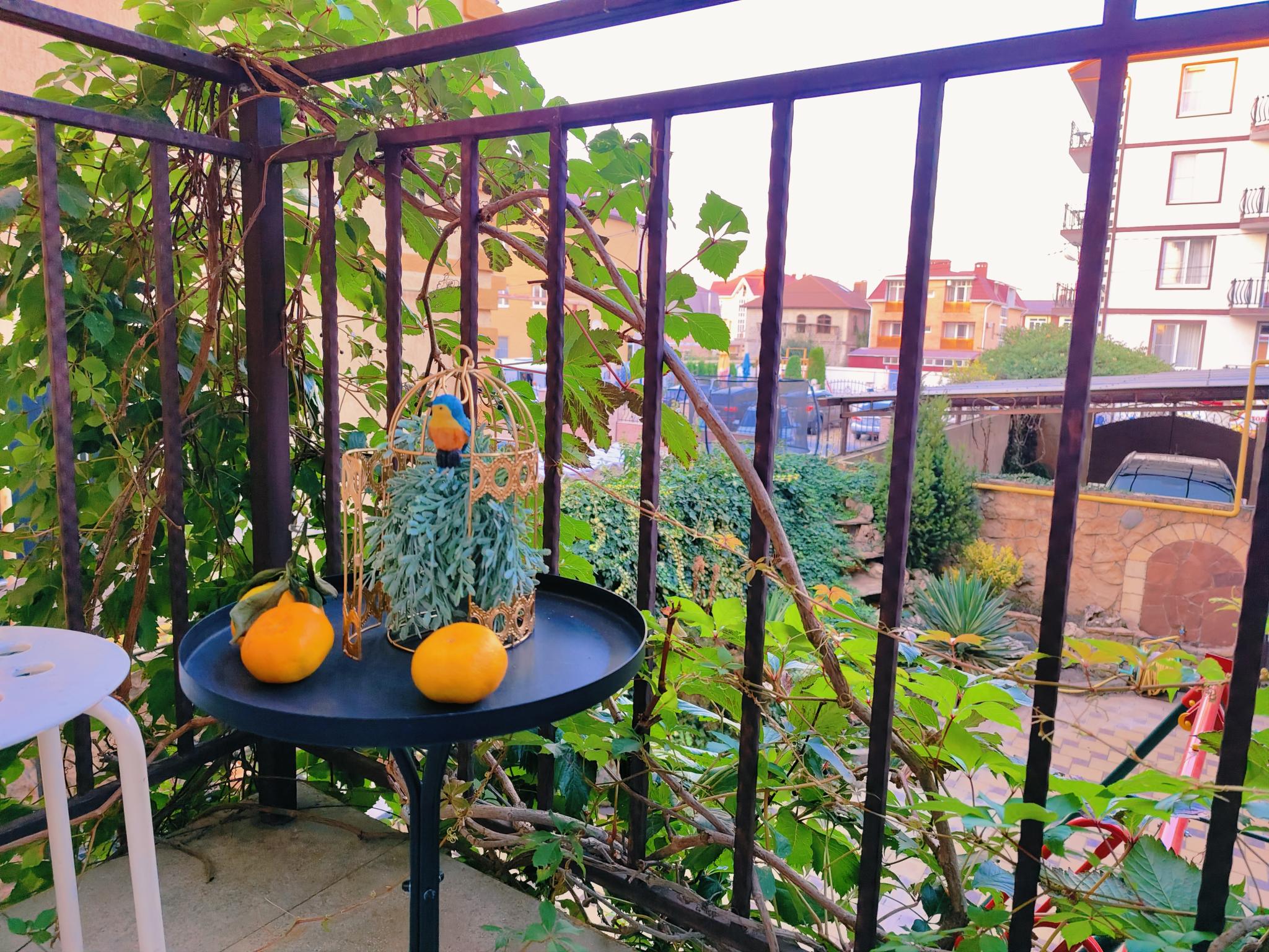 Фото Наутилус