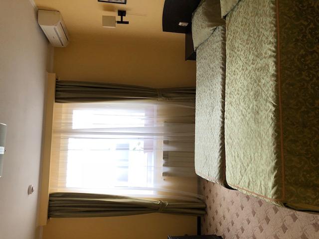 Фото Платан