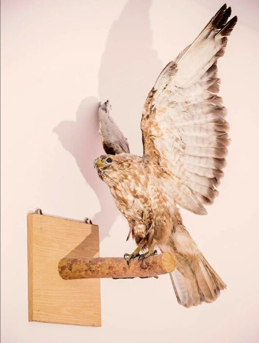 Фото Дом охотника