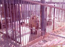 Фото Усадьба