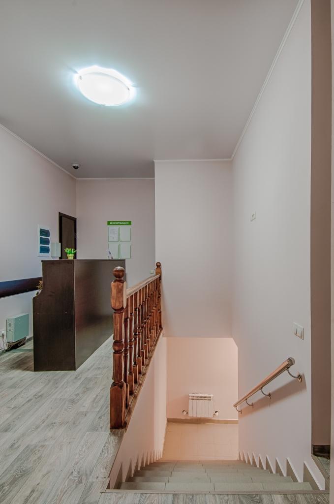 Фото Базилик