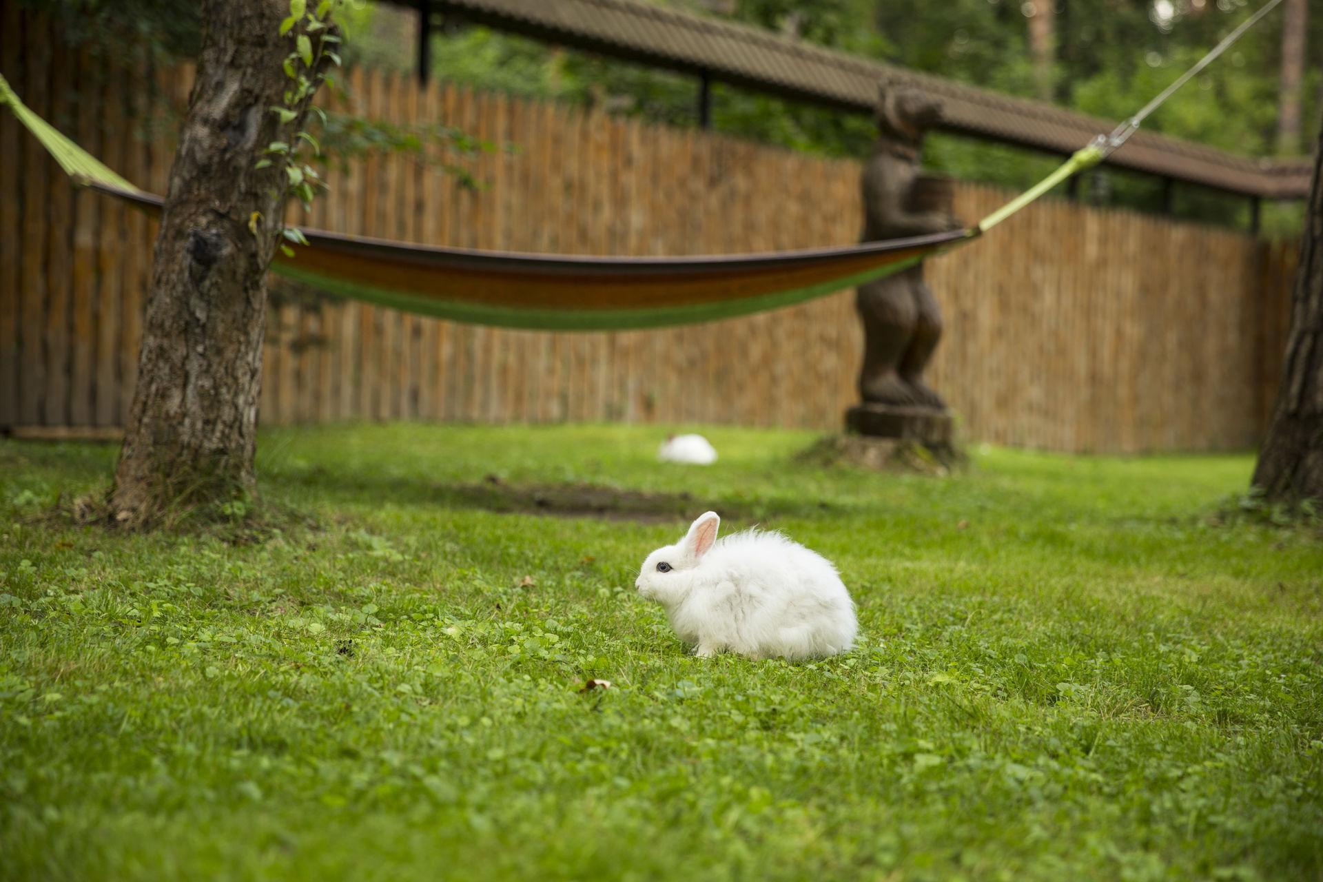 Фото Сосновый Бор