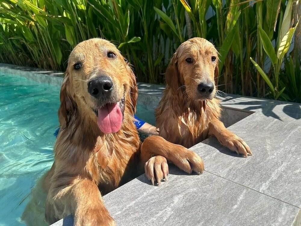 Фото 148 Guesthouse and Resort