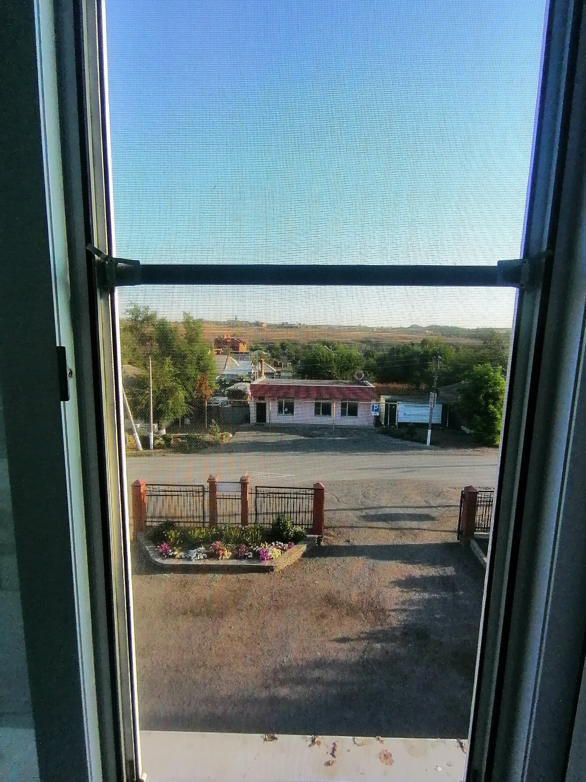 Фото Дубрава