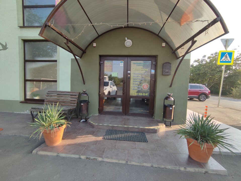 Фото Древо жизни