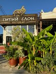 Сытый Слон (станица Динская, Красная ул., 42), ресторан в Краснодарском крае