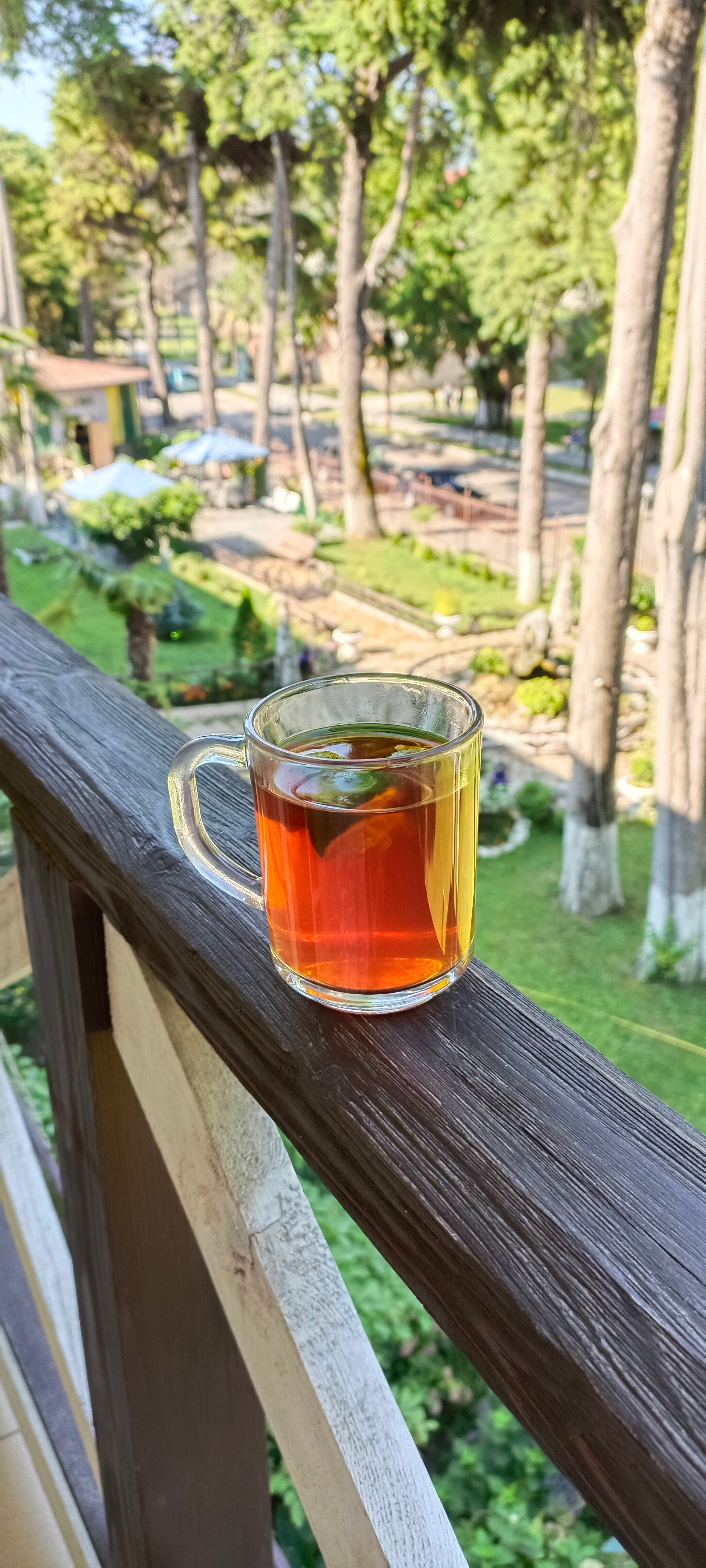 Фото Пицунда