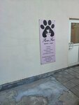 PureFur (Kaulya Street, 11В), salón de mascota, peluquería de animales