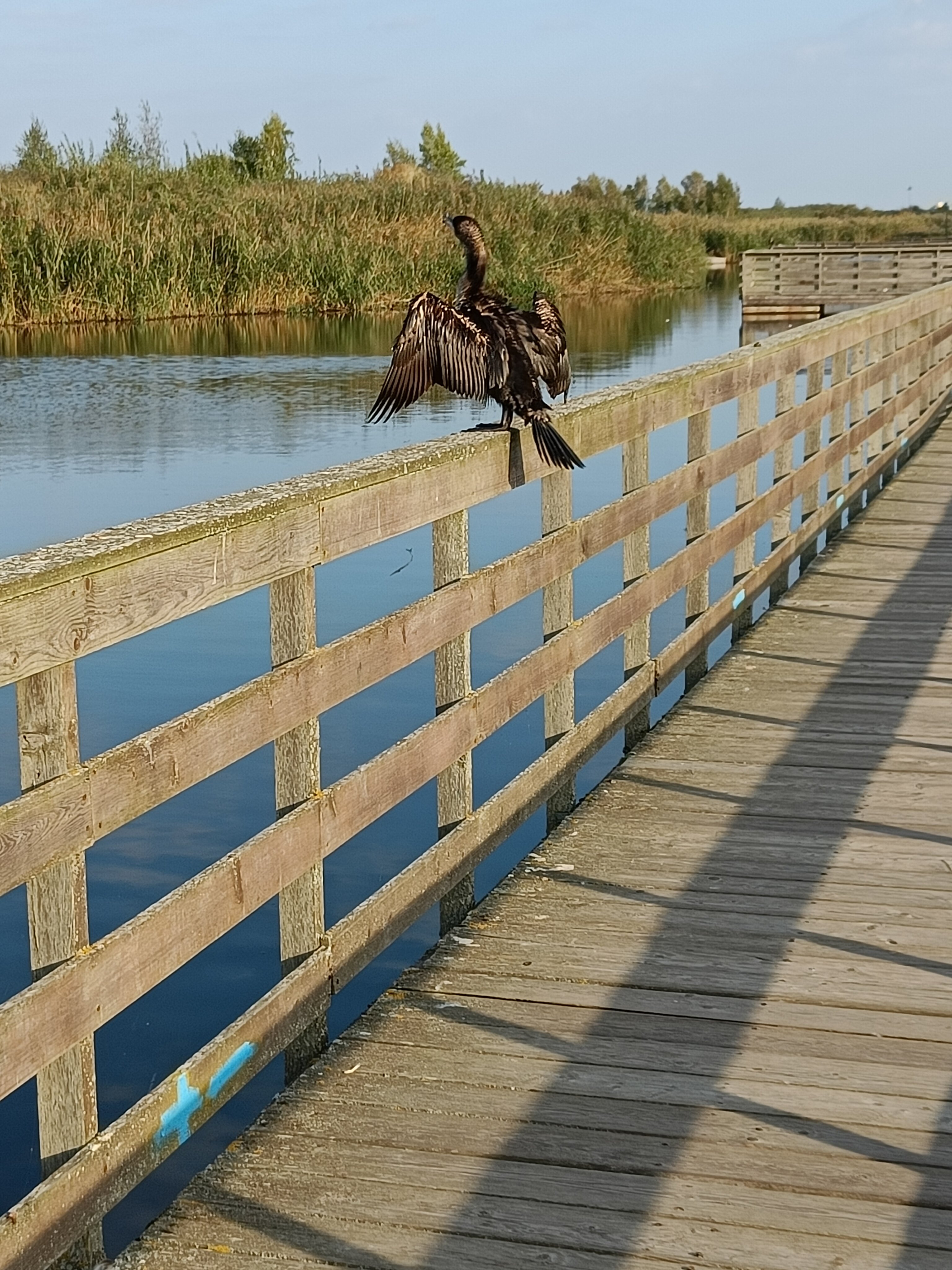 Фото Аквамарин Парк