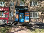 Nova (Sovetskaya Street, 79), computer repairs and services