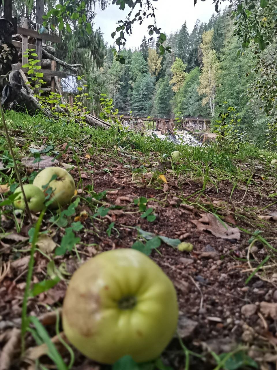 Фото Вилла Тайм