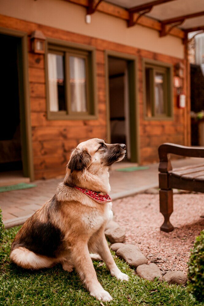 Фото Pousada Charm Canela
