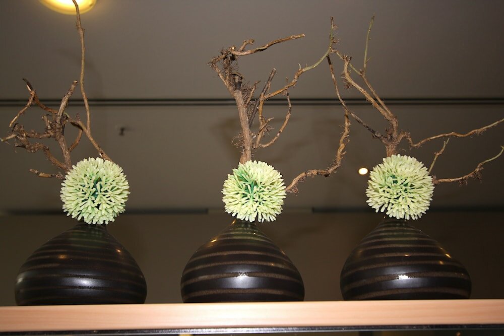 Фото Ibis Hotel Dresden Zentrum