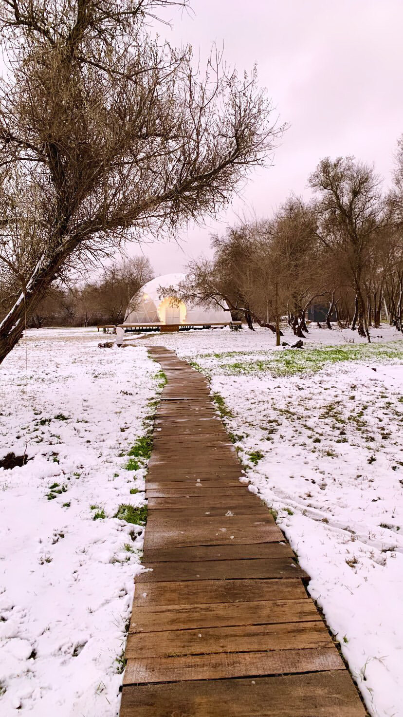 Фото Загородный парк Баклушино