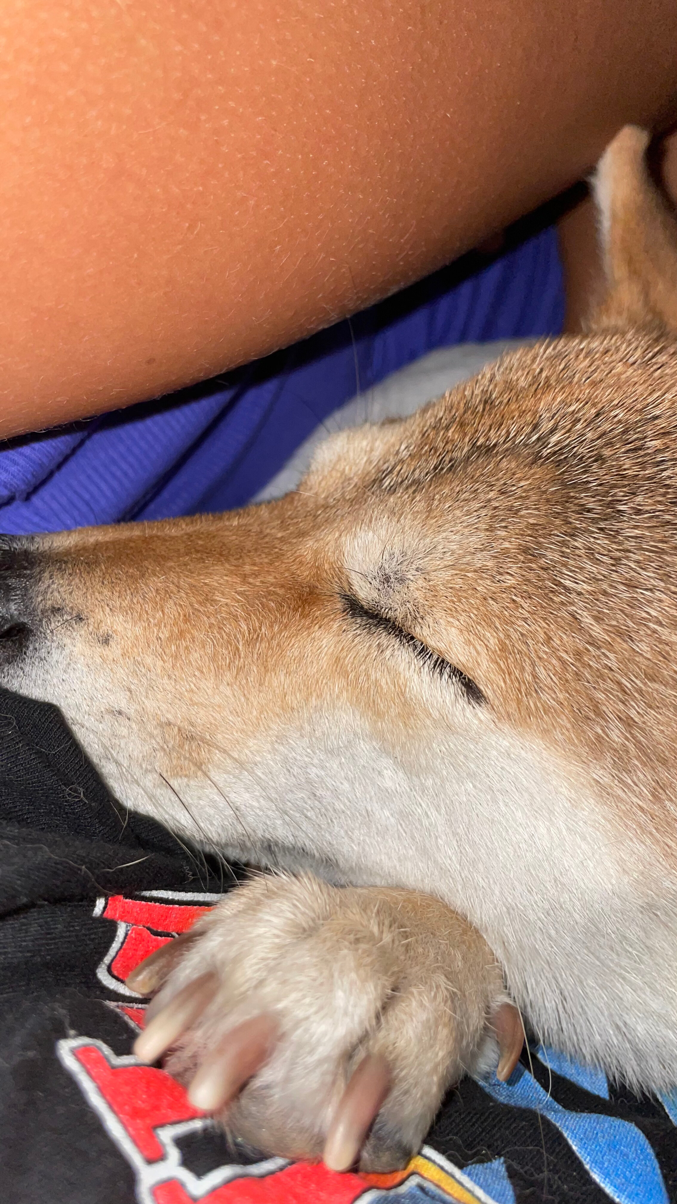 Фото Hotel Panorama