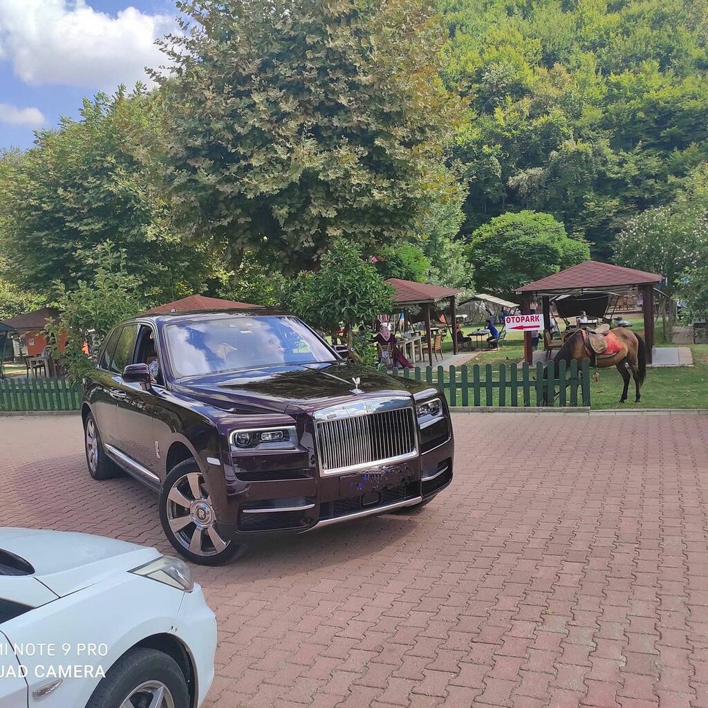 Место для пикника Polonez Garden, Стамбул, фото