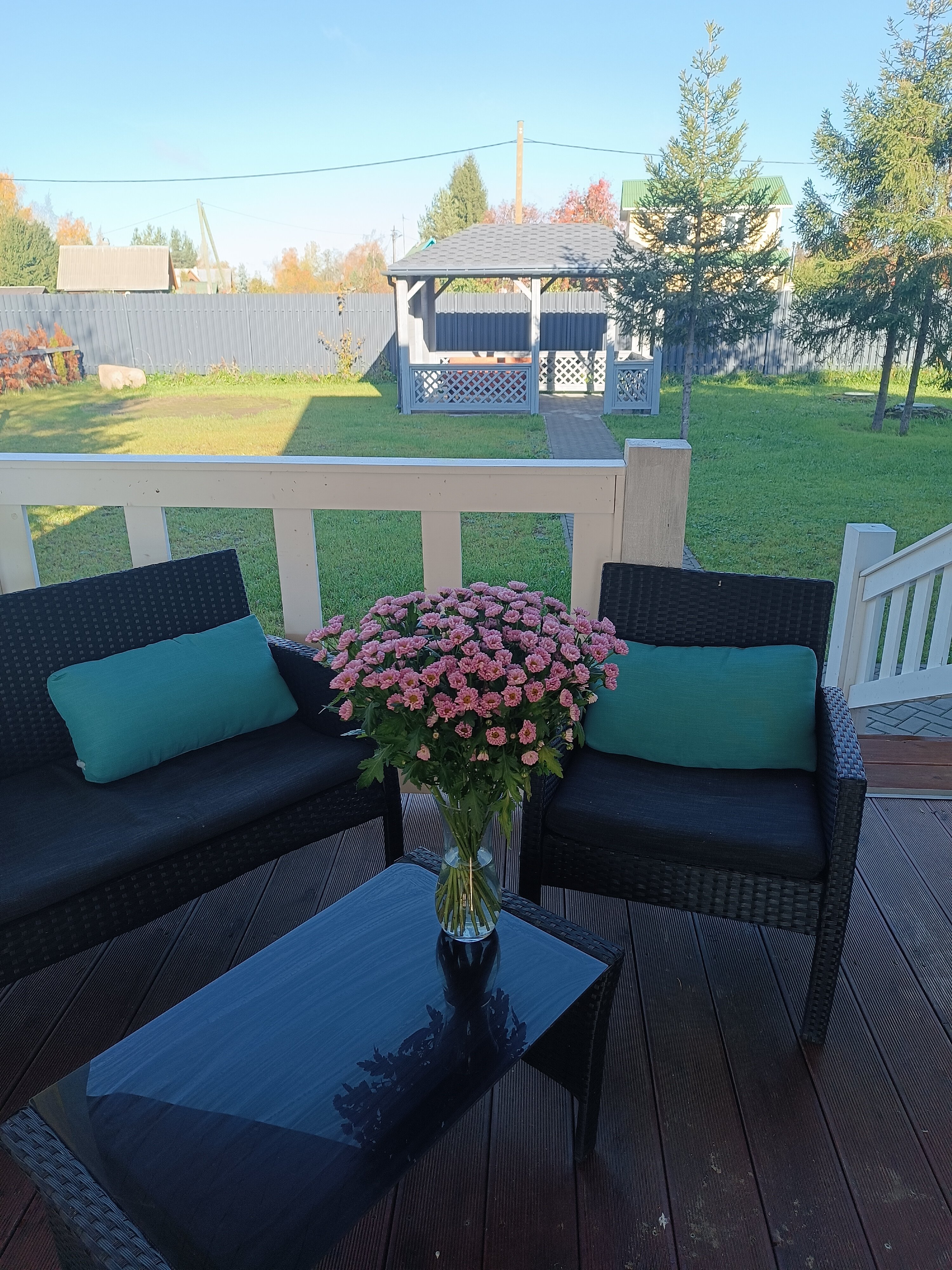 Фото Лесная Сова