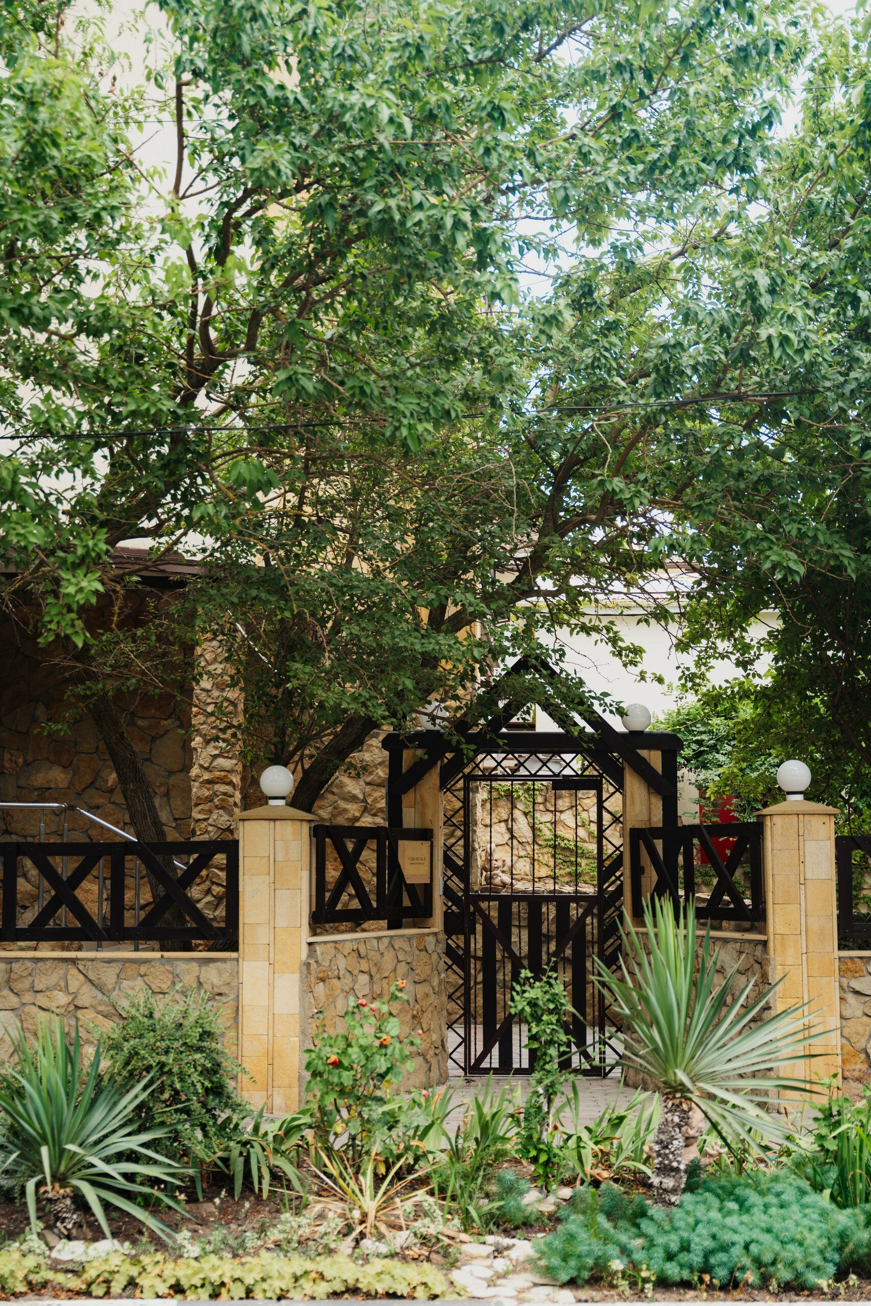 Фото Большая Черепаха