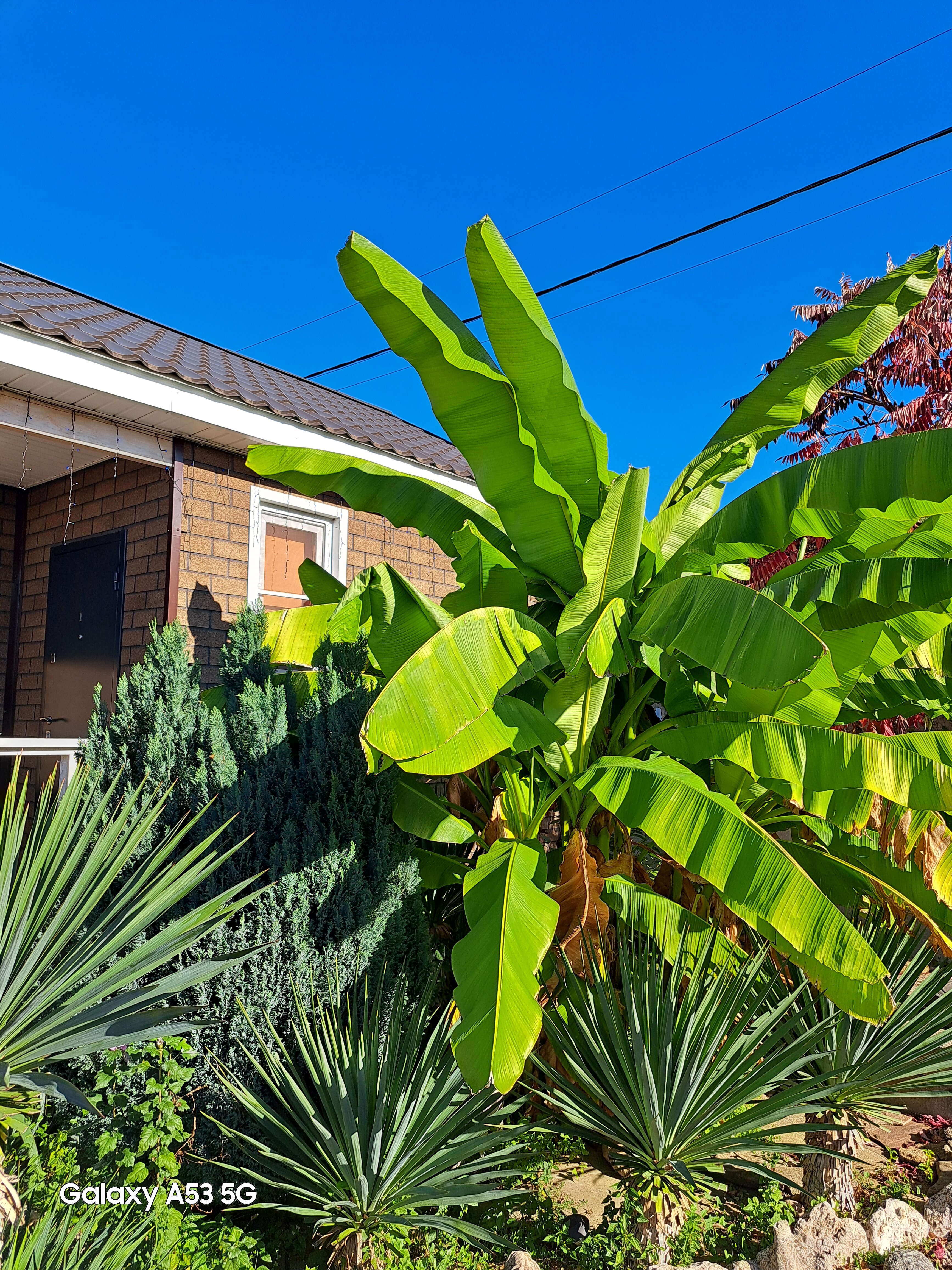 Фото Гостевые домики у реки Дах