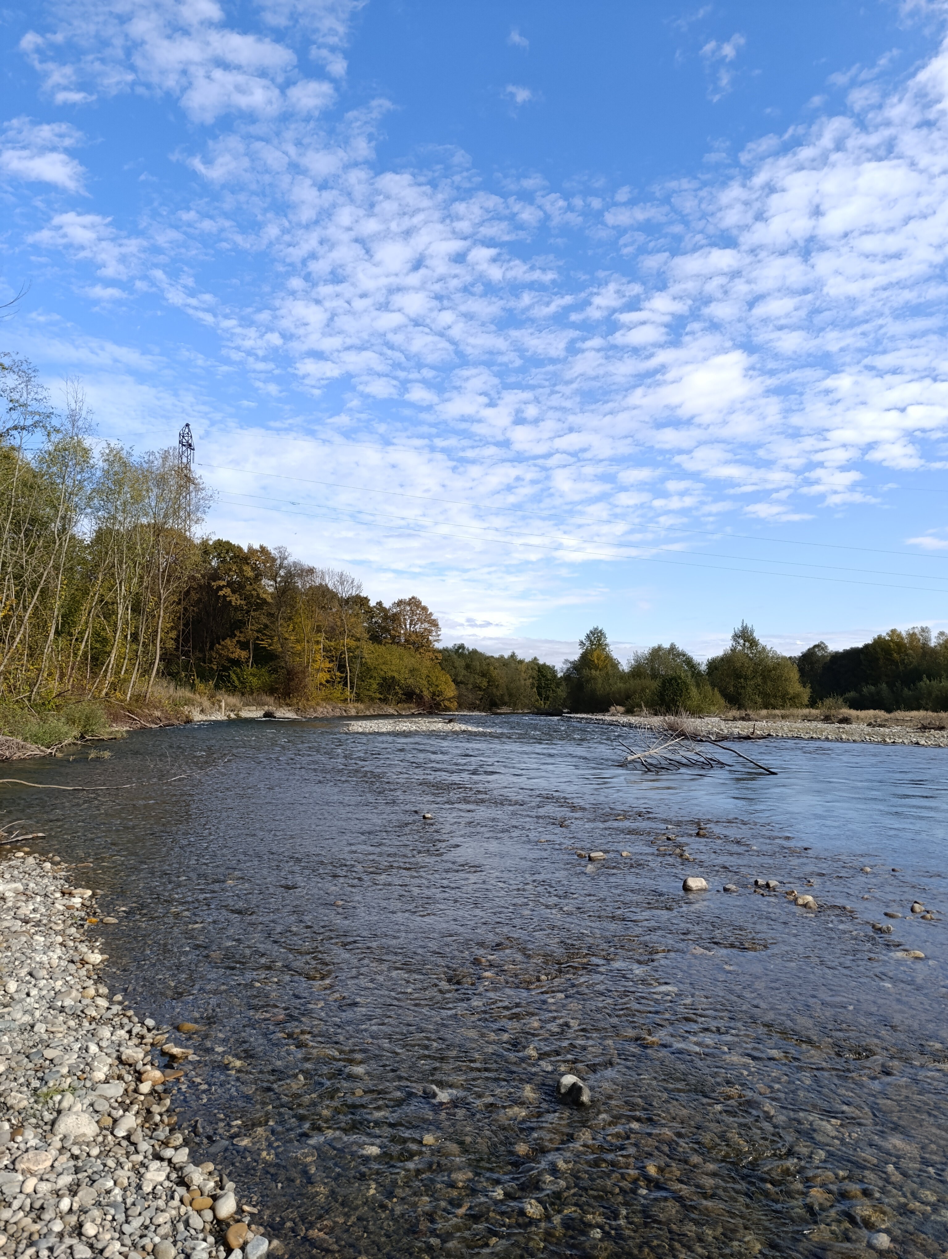 Фото Лисья нора