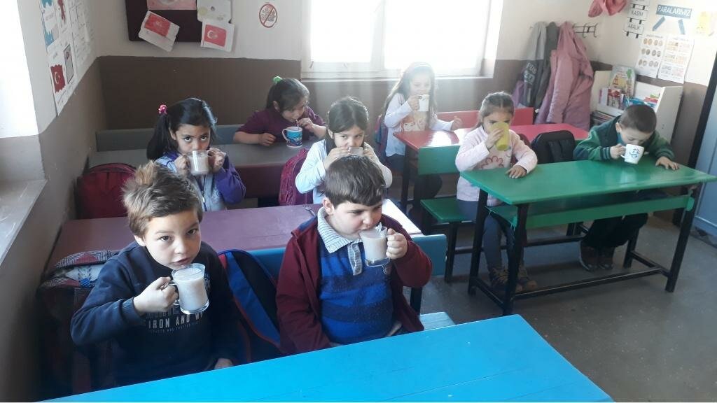 Primary school Alansheyhi Meadow Primary School, Vezirkopru, photo