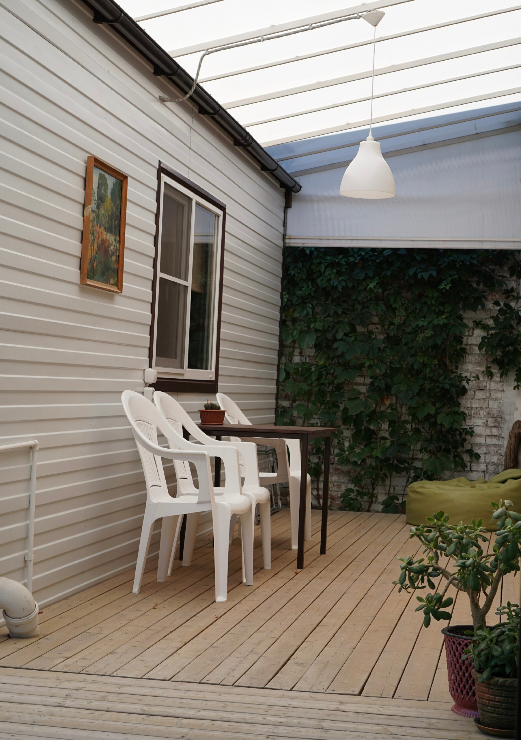 Фото Кофейное дерево