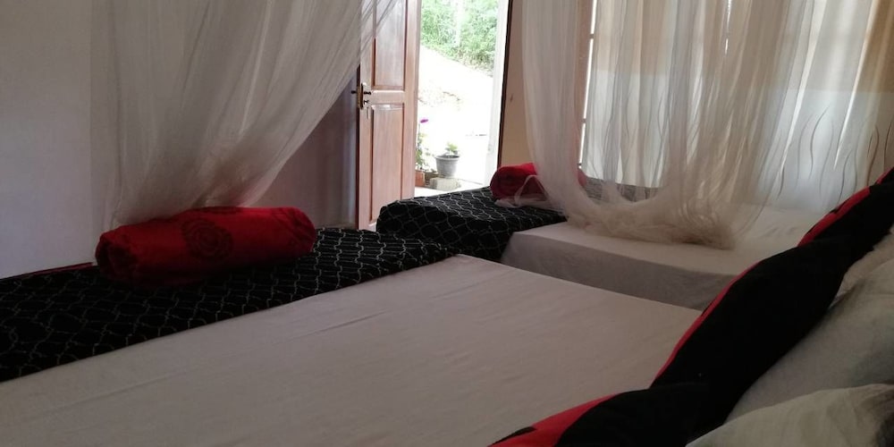 Фото Ella Forest Eco View