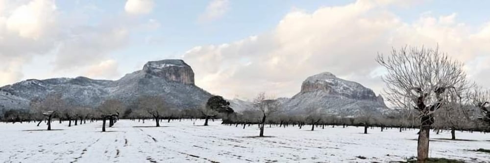 Фото Alaró Natura Rural Suites