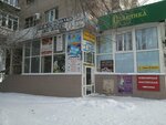 Tantsuyushchy pelikan, magazin odezhdy (mikrorayon Novy gorod, prospekt Lenina, 94), carnival, theater and dance costumes