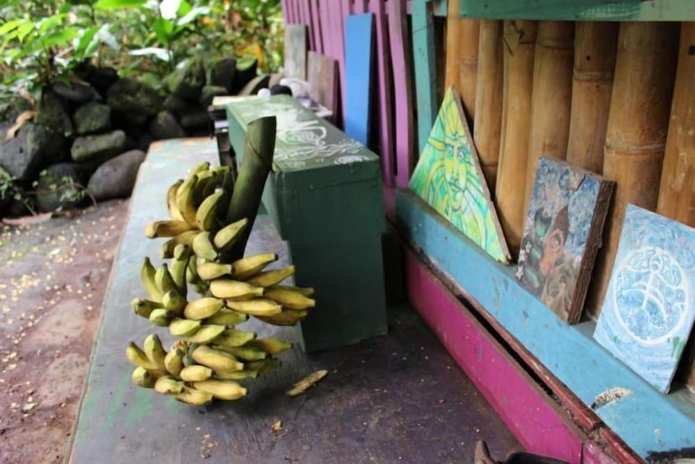 Фото Cinderland EcoVillage - Hostel