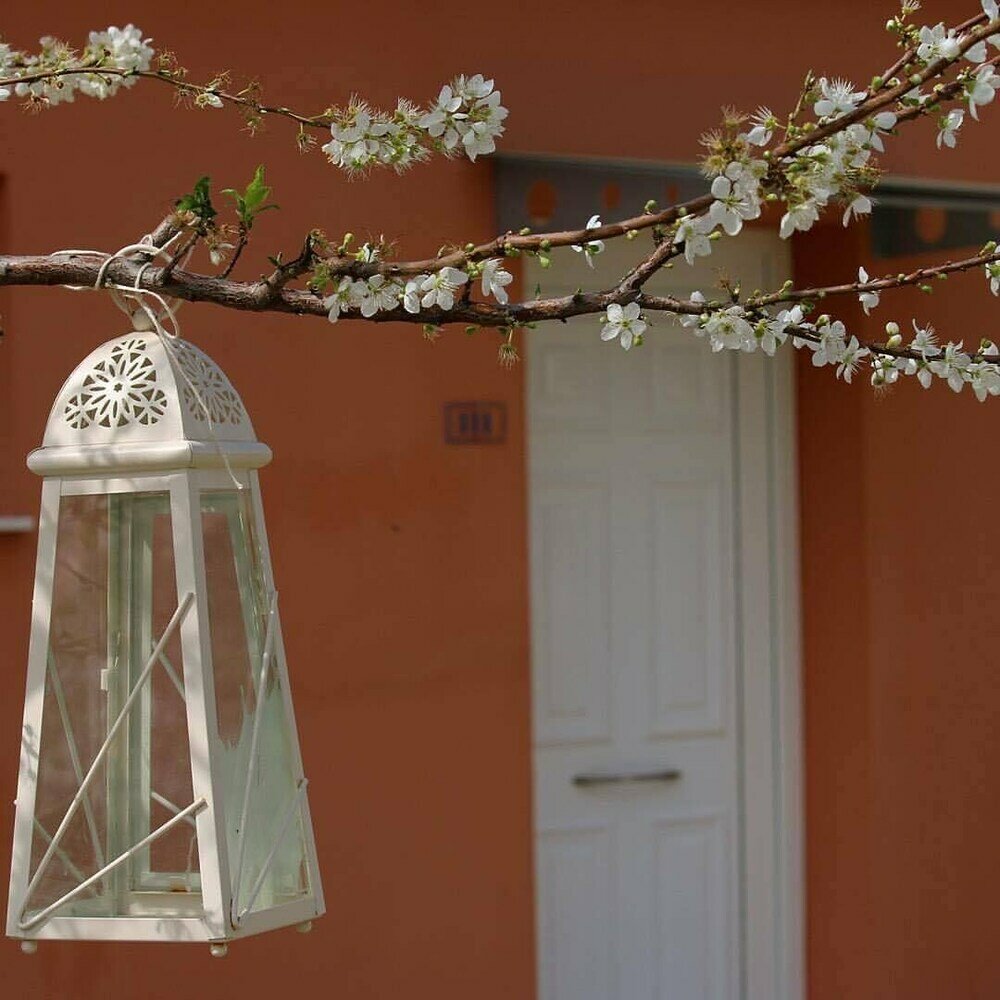 Фото Thalassa Hotel