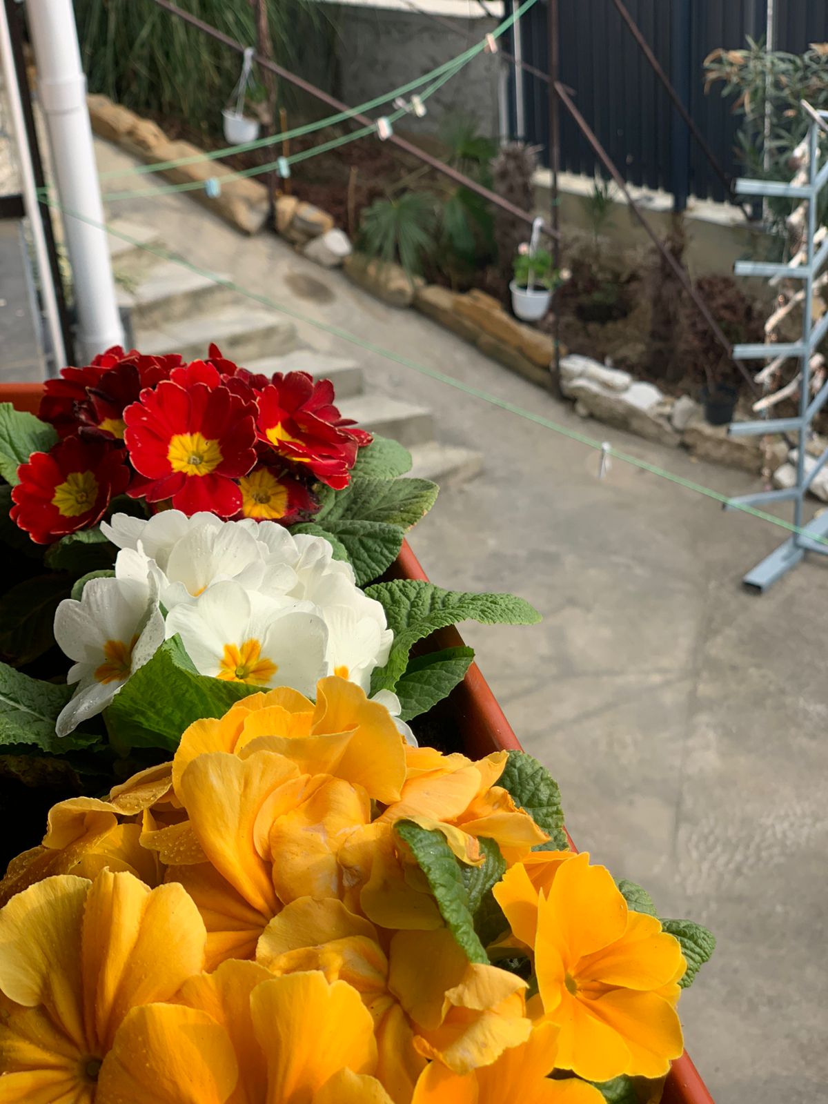 Фото Дельтаплан