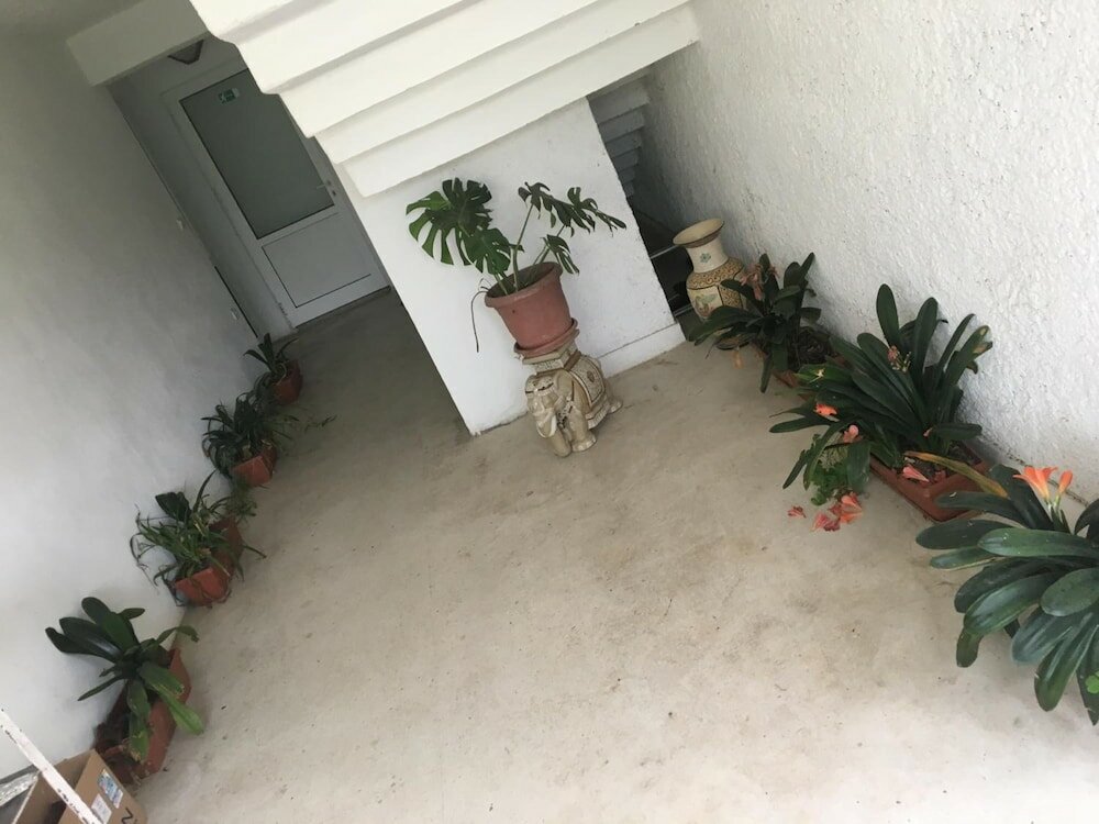 Фото Hair of the Dog Hostel