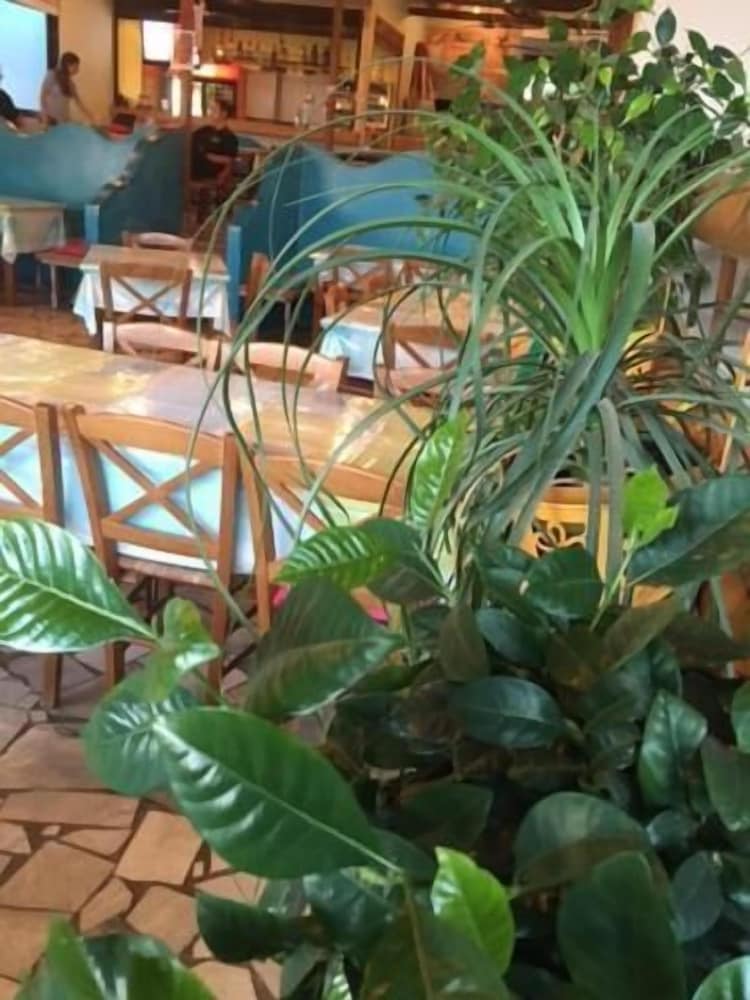 Фото Samaria Pension & Restaurant