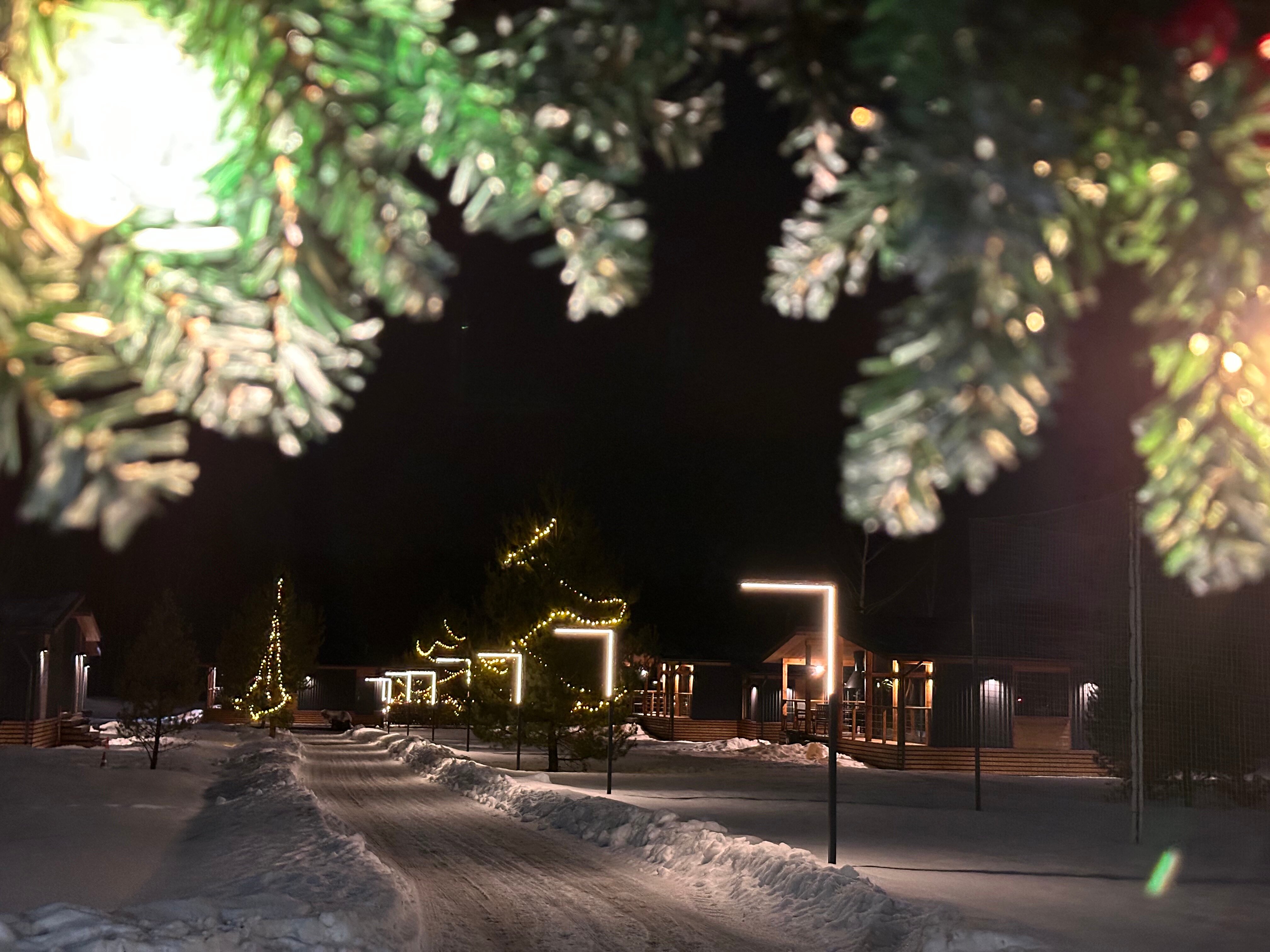 Фото Подосинки-парк