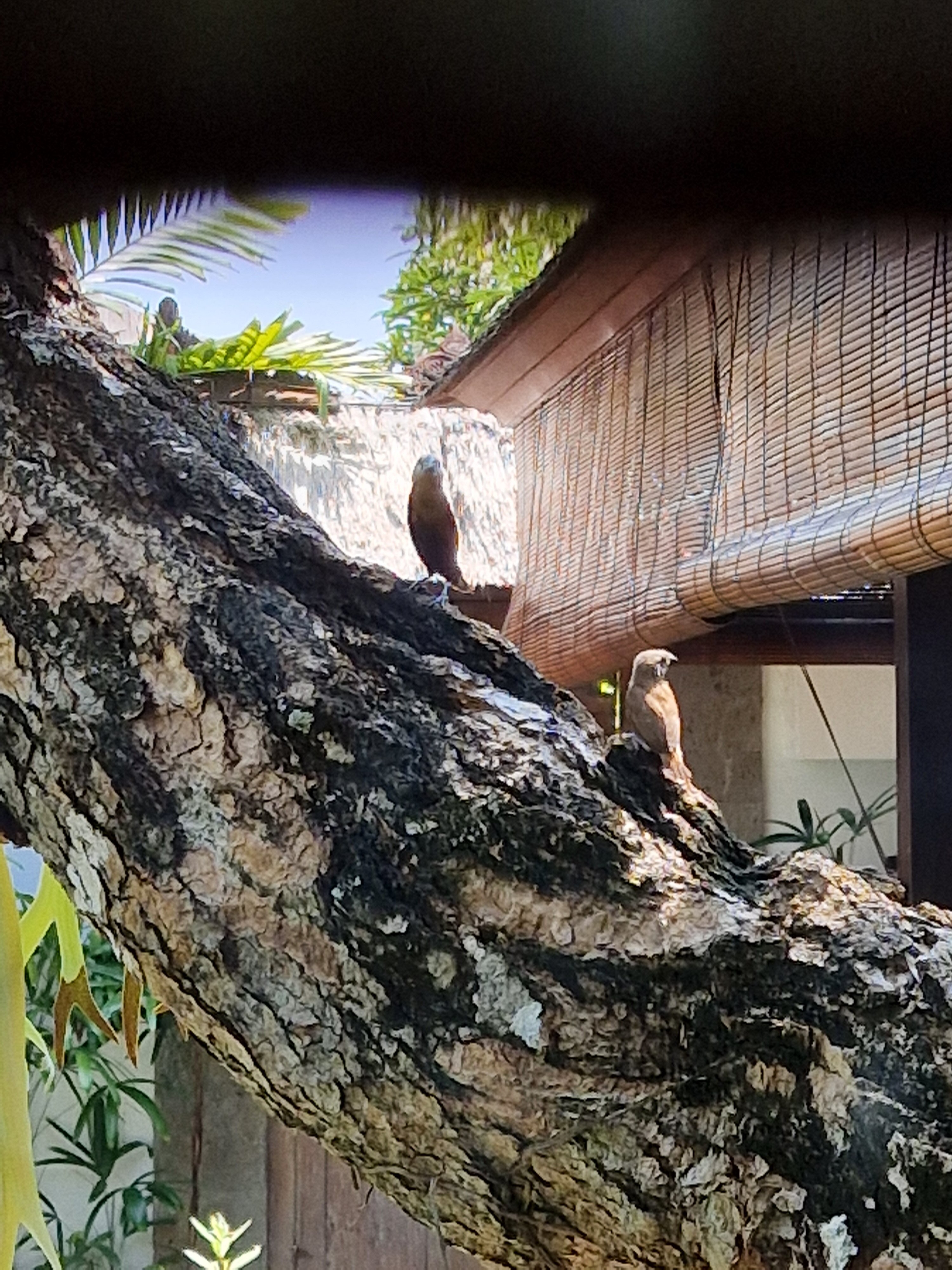Фото Ellora Villas