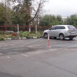 Фото Тарлеон